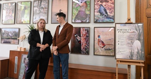 4 października 2026 roku w Galerii „Lustro”, mieszczącej się w holu Kina Wawrzyn w Mogilnie, otwarto wystawę fotografii Magdaleny Walczak pt. „Portrety ptaków”.